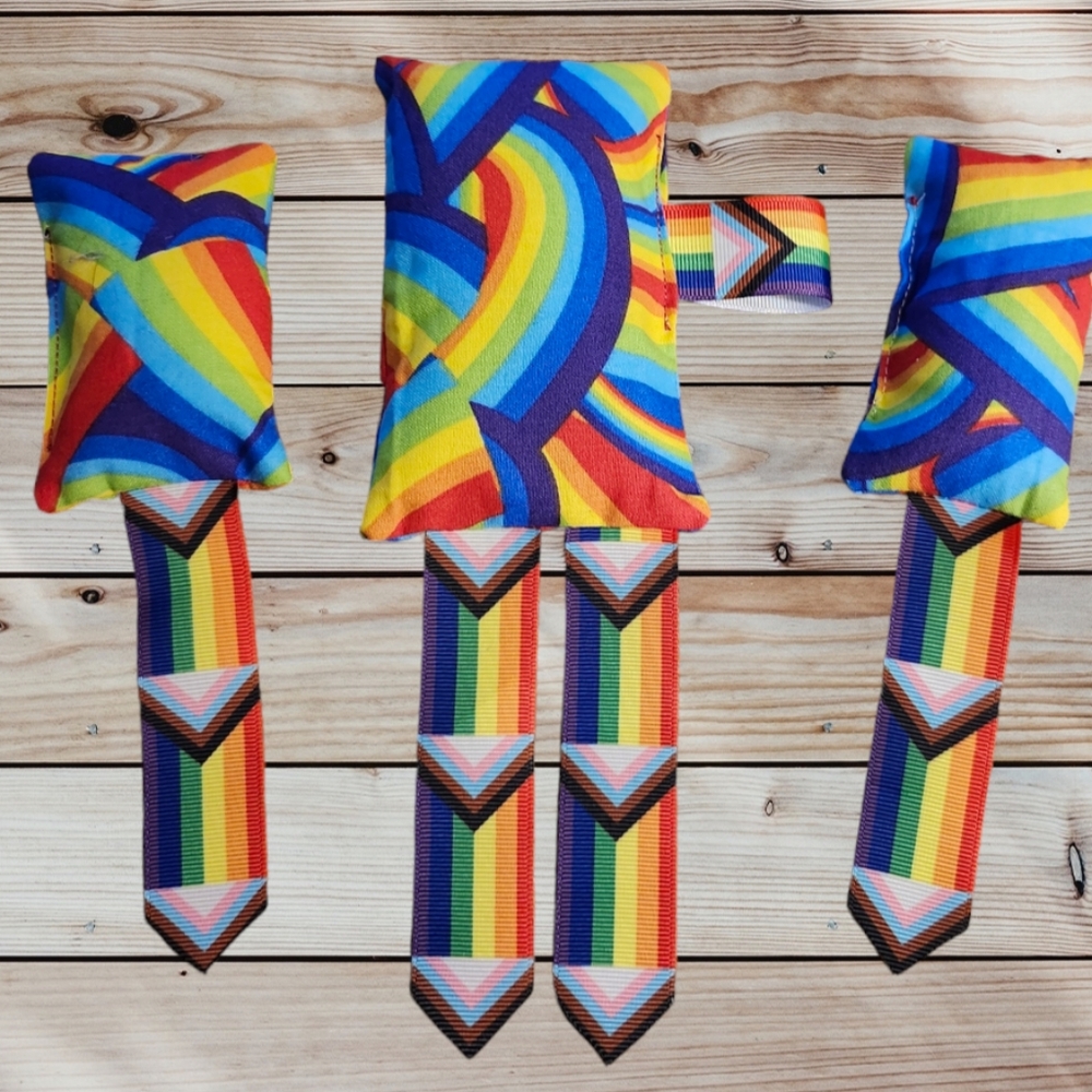 Rainbow Cat Toy Bundle